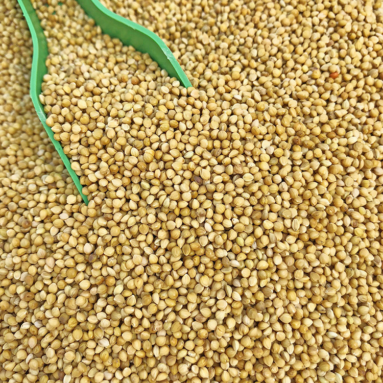 黑珍珠油葵子瓜子红花籽白瓜子2合1混合葵花子油葵籽鹦鹉鸟食5斤