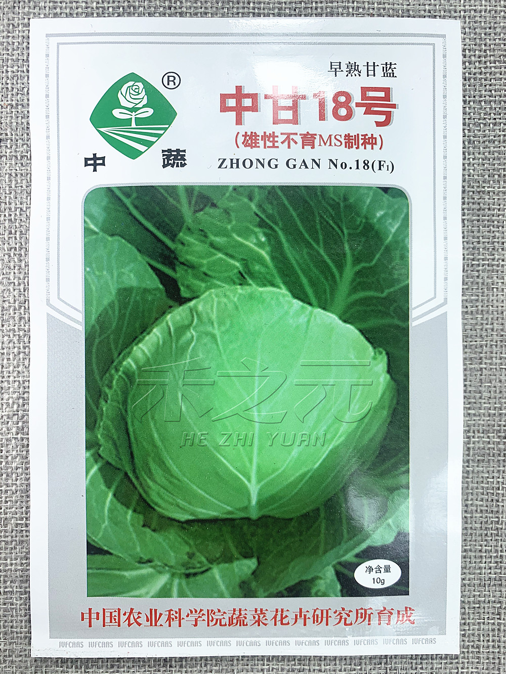 甘蓝早熟中甘18号种子中国农业农业科学科学院春秋家庭园艺种子