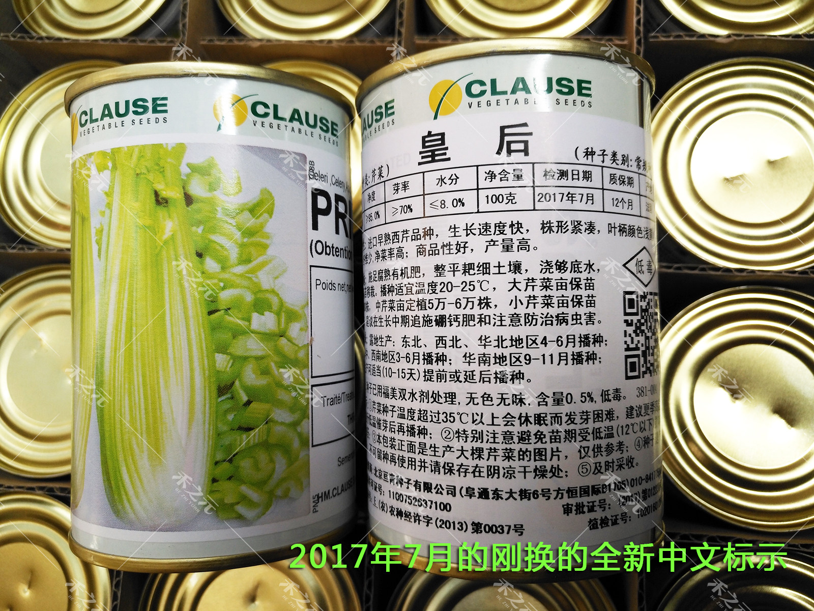 皇后芹菜种子法国clsue公司原装进口西芹种子籽大田种籽四季秋