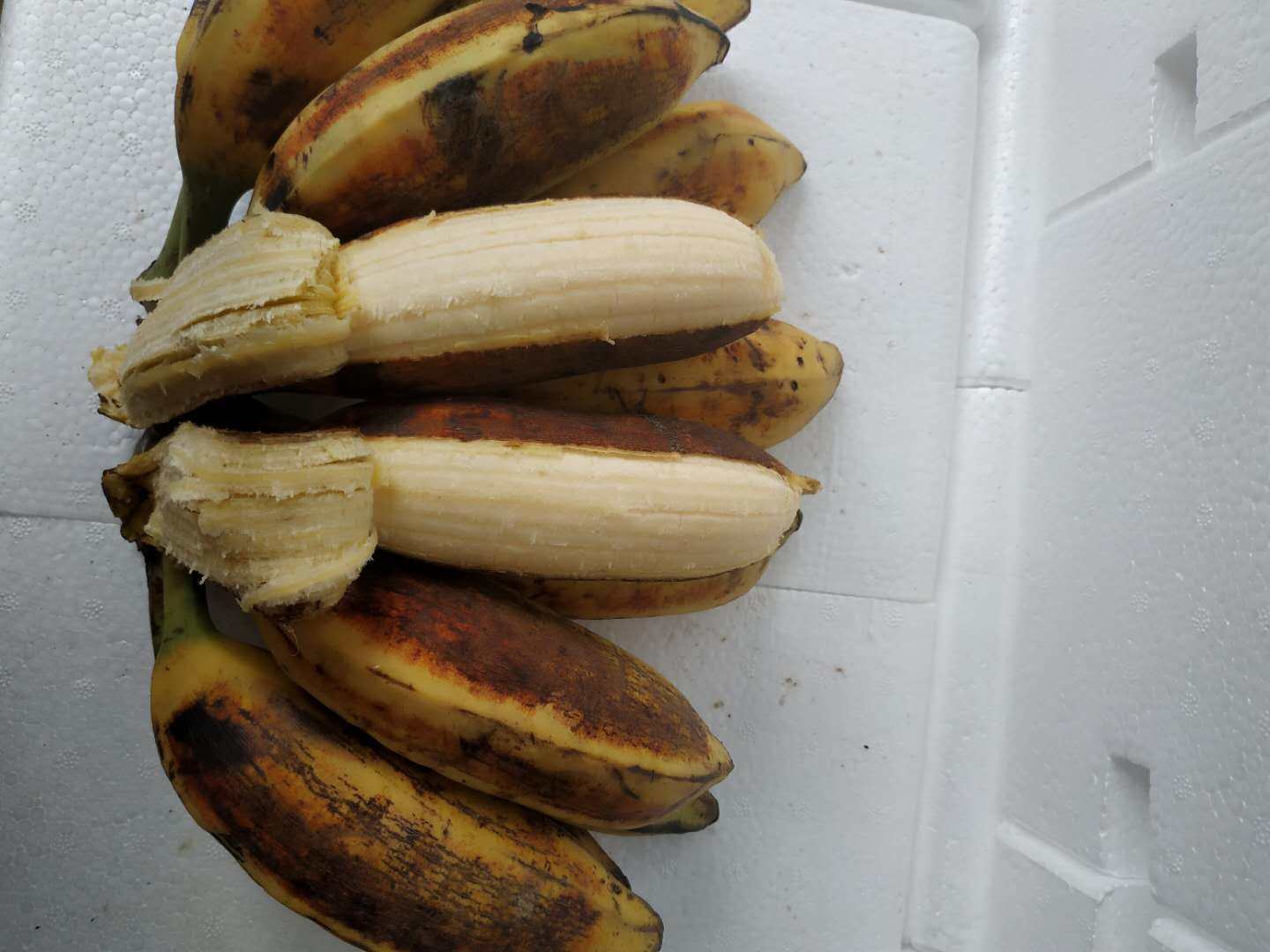 新鲜芭蕉米蕉小米包邮非十斤带箱水果香蕉斤牛香蕉