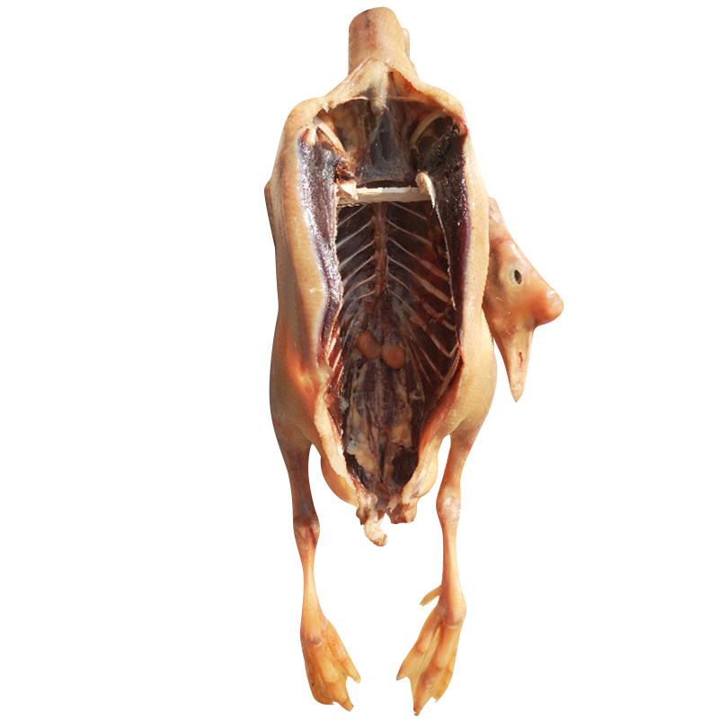 老鹅农家散养大白鹅腌制咸鹅风干鹅肉溧阳天目湖特产风鹅年货腊鹅