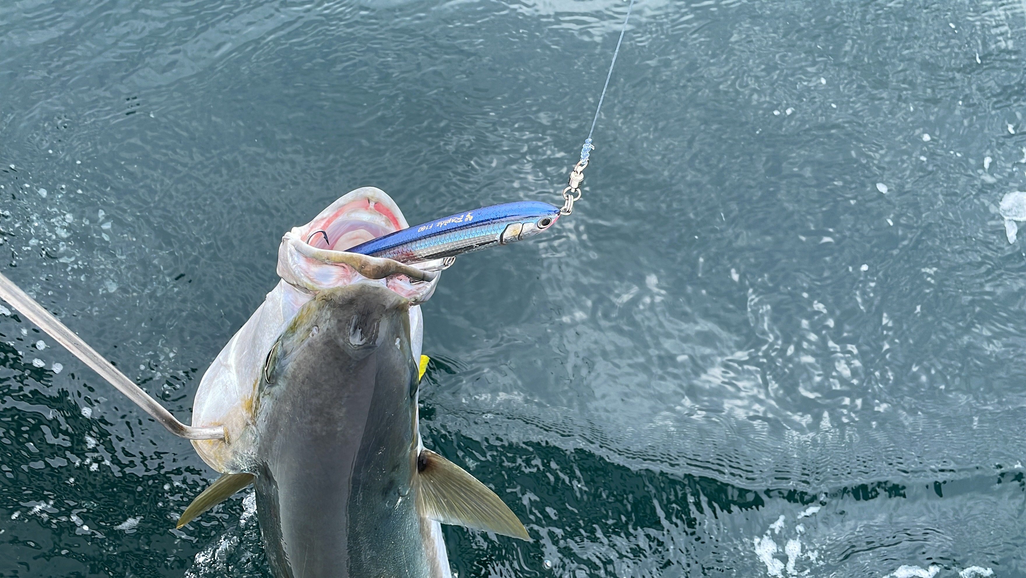 钓研tsurikenheavy海钓矶钓阿波漂浮漂抗风浪远投型浮漂
