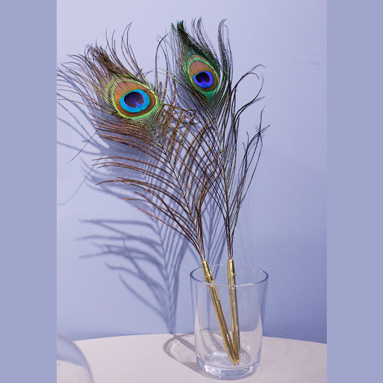 sort丹麦hay创意孔雀羽毛笔圆珠笔金色轻奢北欧圆珠笔