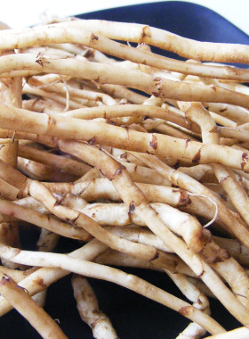 安徽特产野生吕蒿根藜蒿根泥蒿根芦蒿根 新鲜时苓蔬菜3件包邮安徽老许