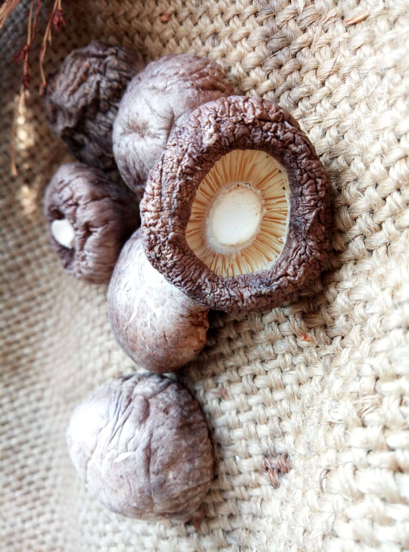 香菇2022干货农家自产金钱冬菇湖北特产远安香菇类