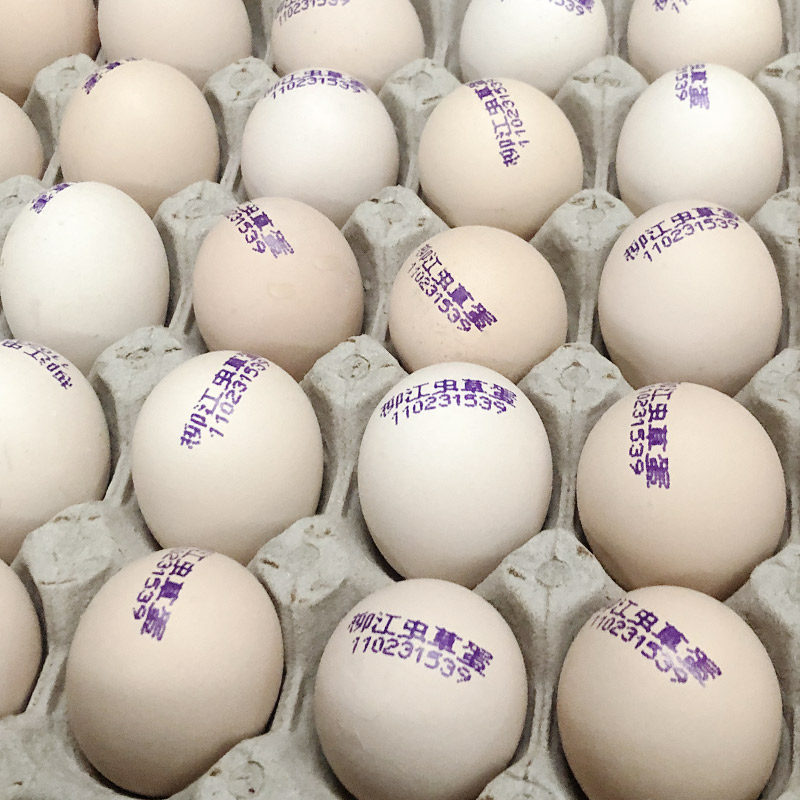 虫草蛋宝宝孕妇食用新鲜纯天然散养虫草鸡蛋30枚