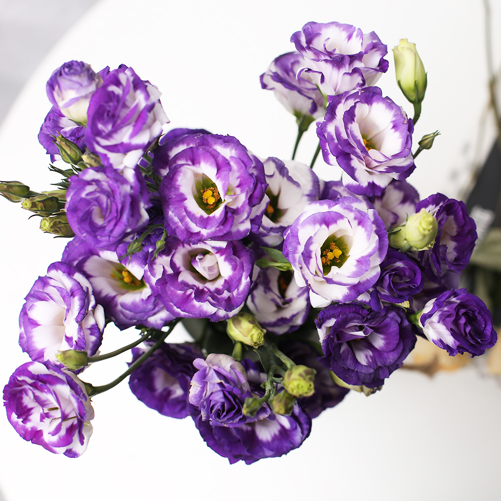助农多头洋桔梗鲜花束云南基地直发家用玫瑰百合水养同城速递