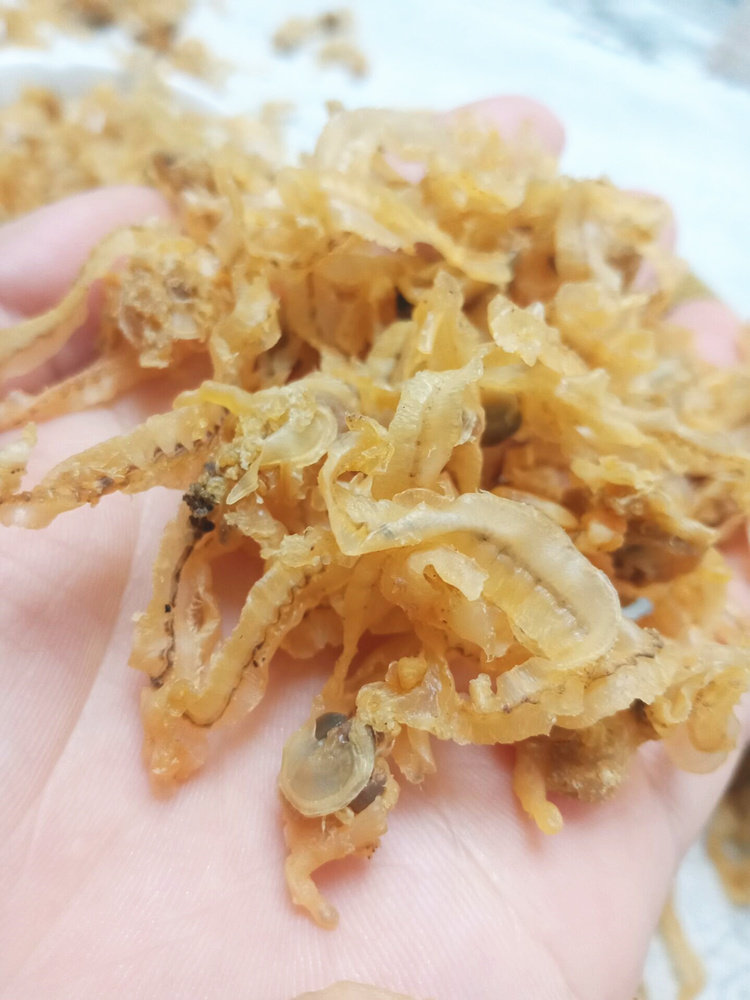 海鲜干货干贝500克扇贝鲍鱼边蛤蜊瑶柱边美味干贝