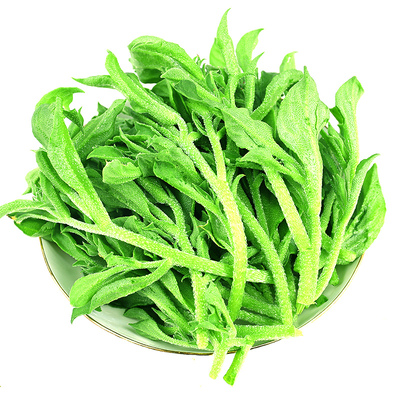 山东新鲜冰草3斤生吃沙拉冰叶火锅即食当季蔬菜冰菜花现摘包邮