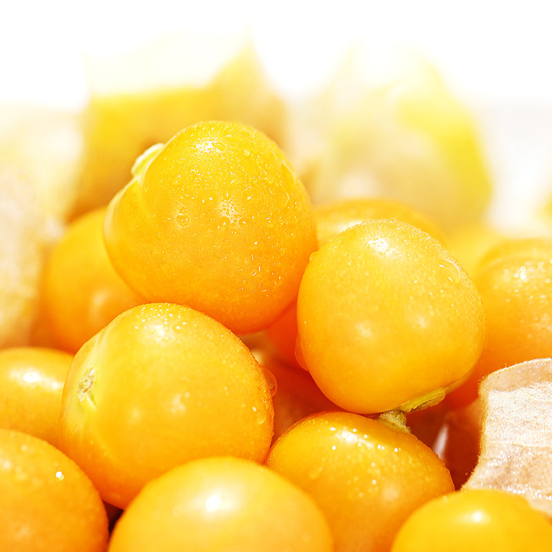 【精美礼盒】东北姑娘果4斤 黄菇娘果灯笼果新鲜水果特产整箱包邮