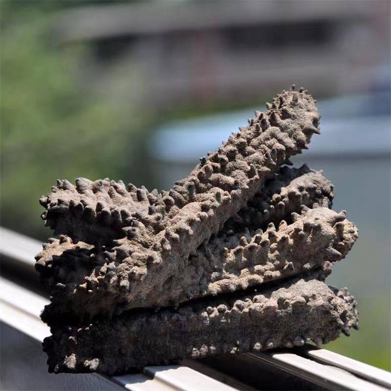 四方方刺参大刺酒店常用刺黄参非即食参淡海参干品