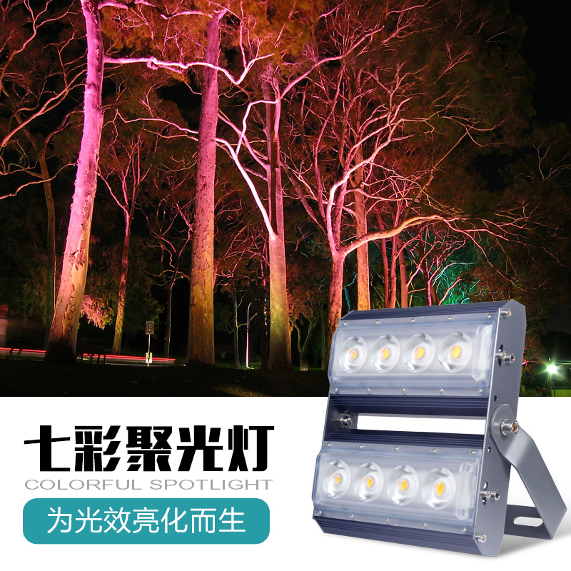 中涛led彩色聚光投光户外防水射树外墙射灯其它灯具