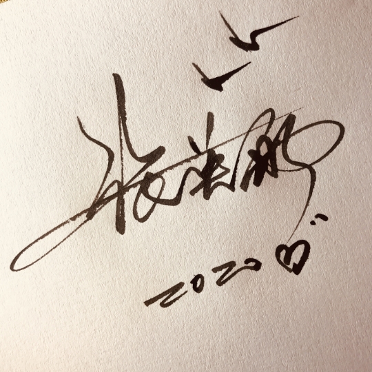 不满意找我名字高端时尚大气个性签名设计练字字帖练字帖