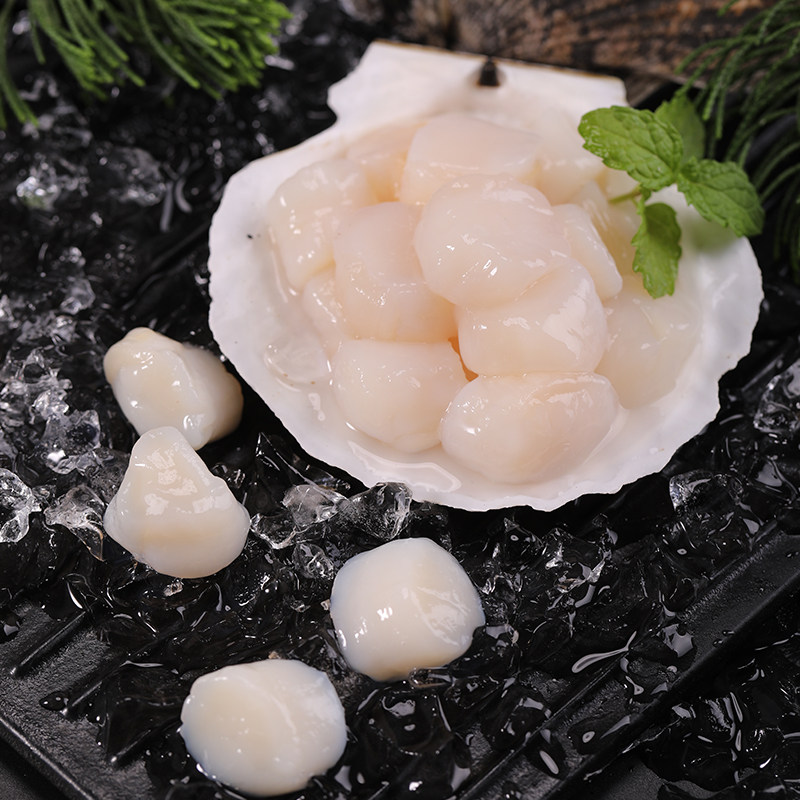 扇贝新鲜2份包邮元贝瑶柱冷冻鲜活柱冻肉扇扇贝柱