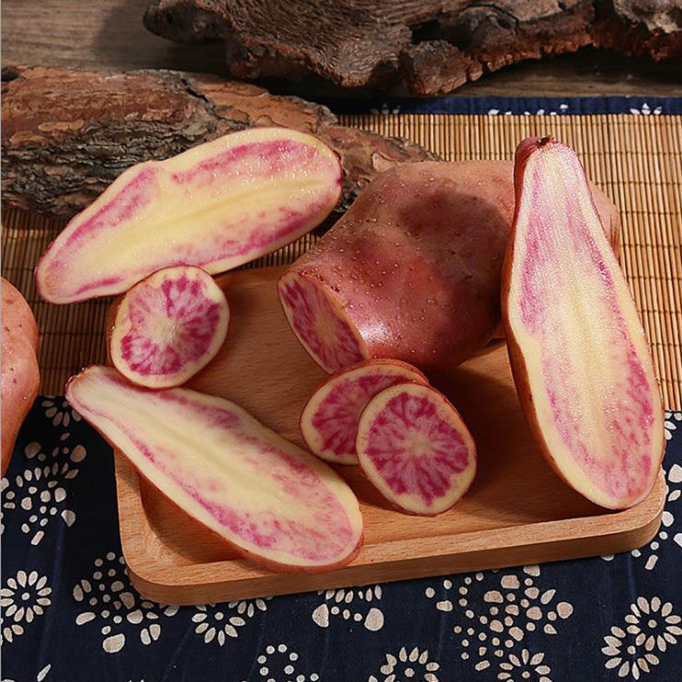 七彩土豆10斤红皮红心马铃薯云南丽江新鲜大号洋芋土豆