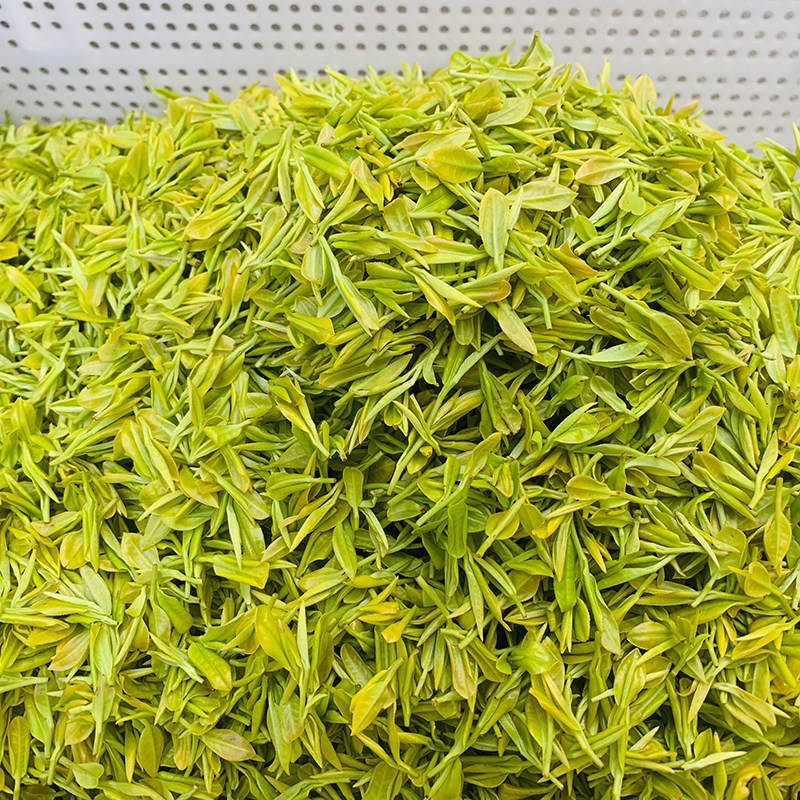 芯宝缙云黄茶2022新茶明茶叶特级绿茶50g小包其它绿茶