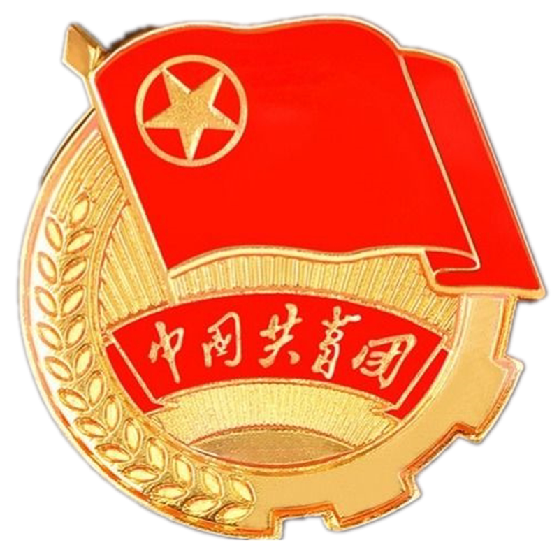 10个新款标准团徽中国共青团团徽学生用团徽磁铁别针入团团员徽章