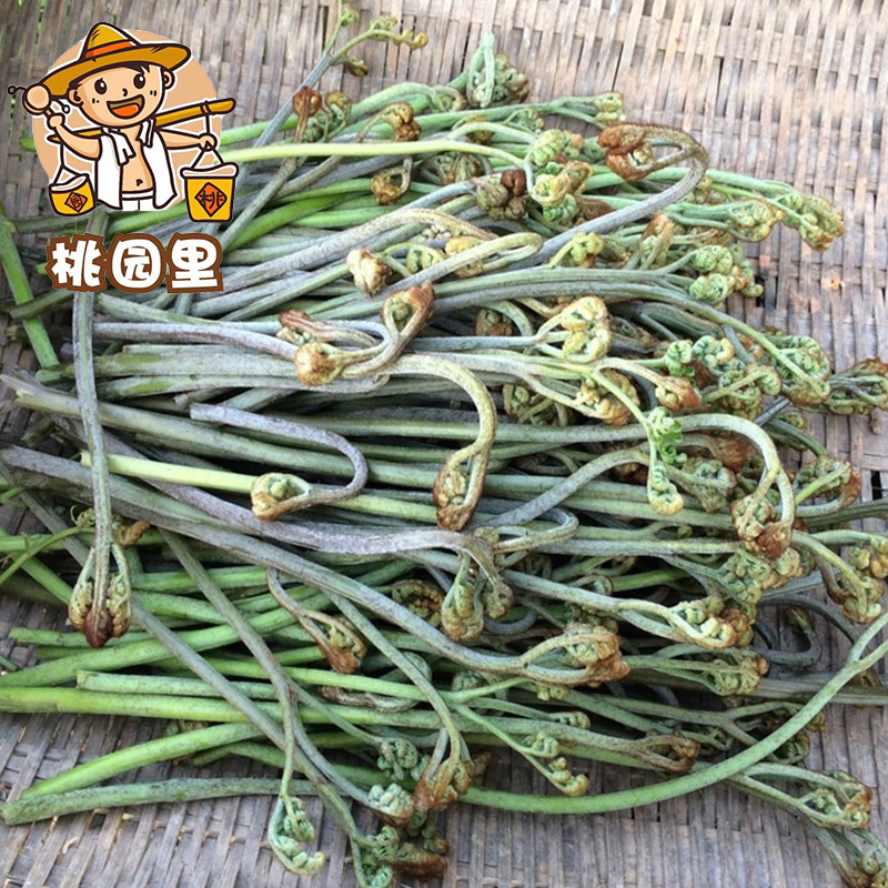 野生蕨菜蔬菜千岛湖农家特产龙爪脱水200g脱水蔬菜