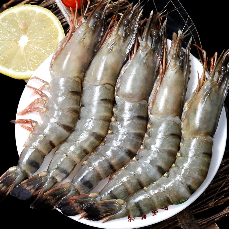 尚致越南虎虾鲜活冷冻超大新鲜海捕虎老虎海鲜冻虾