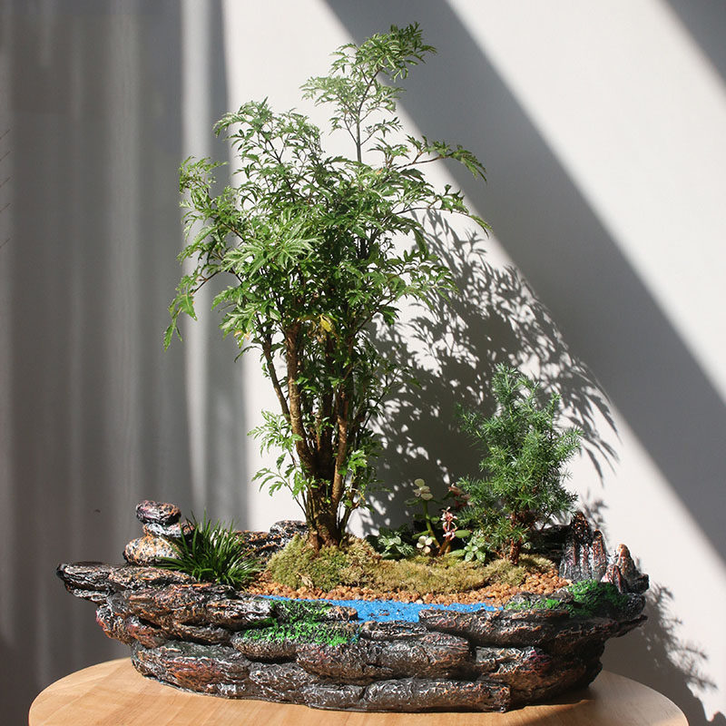 大号岩石造景长方形特大号盆景盆大码多肉组合拼盆花盆