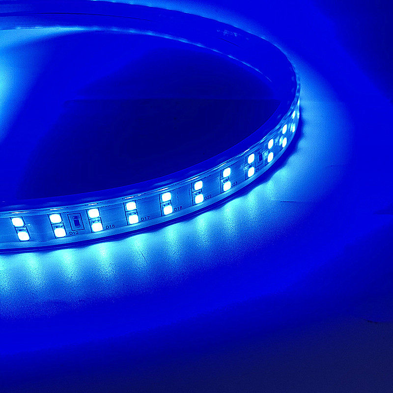 led灯带条蓝光防水灯条220v蓝色双排客厅灯带led灯带
