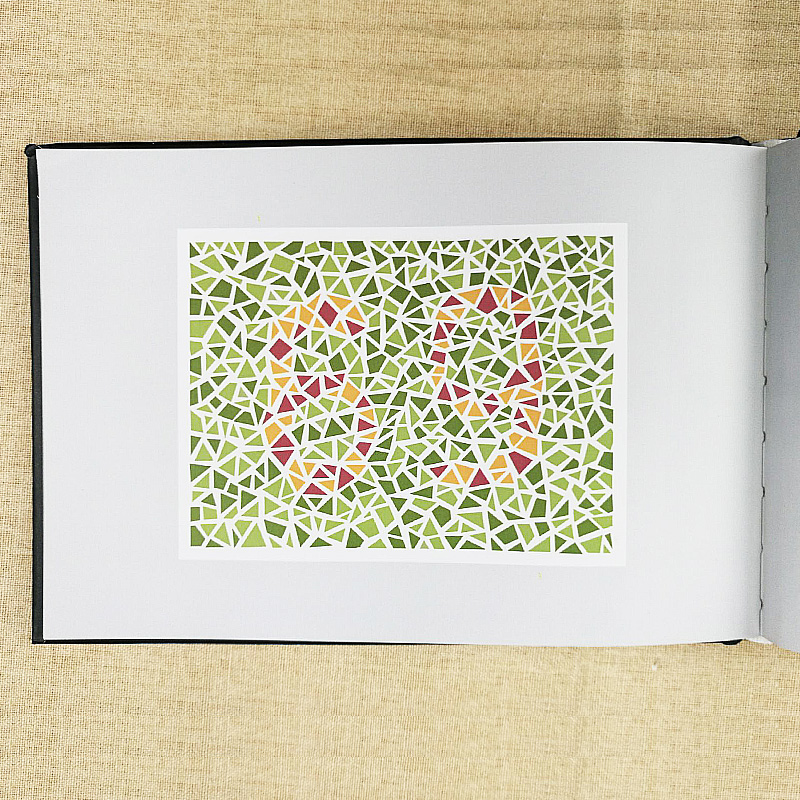 检查色盲色弱测试红绿卫生人民图谱色觉图册耳鼻喉科学