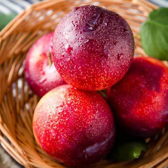 脆红脱骨整箱水果应季酸甜脆甜大果李子红李李子