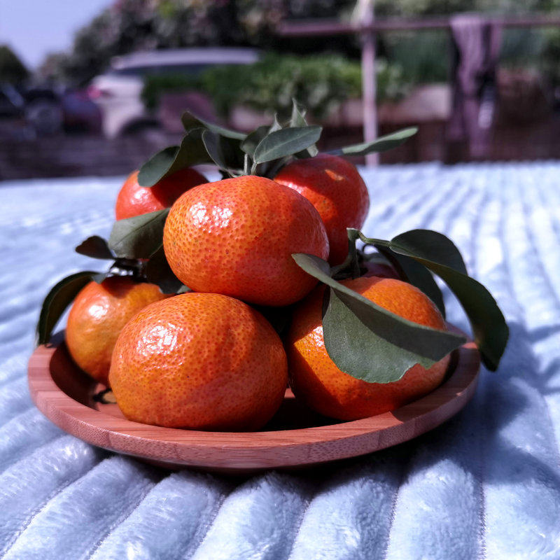 顺丰当季果包中大薄皮水果现摘新鲜广东沙糖桔子