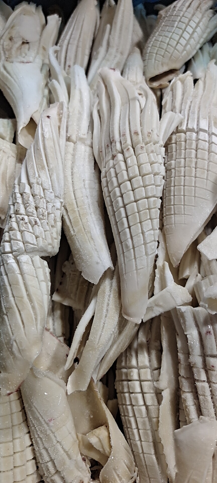 鱿鱼火箭网红火锅爆款食材配菜鲜冻鲜活冷冻冷冻鱿鱼