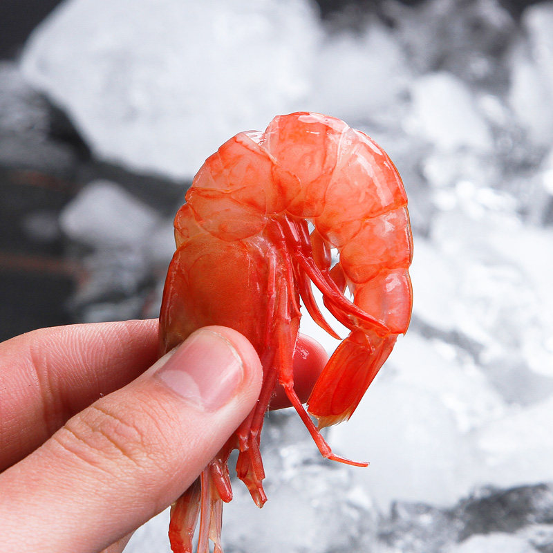 舟山红虾鲜活冷冻野生东海深海大头海虾海捕每斤35头左右