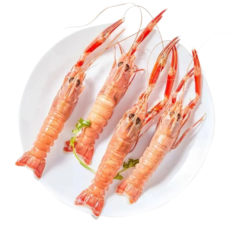 鳌虾刺身大国国产南极特大舟山宁波海鲜冷冻冻虾