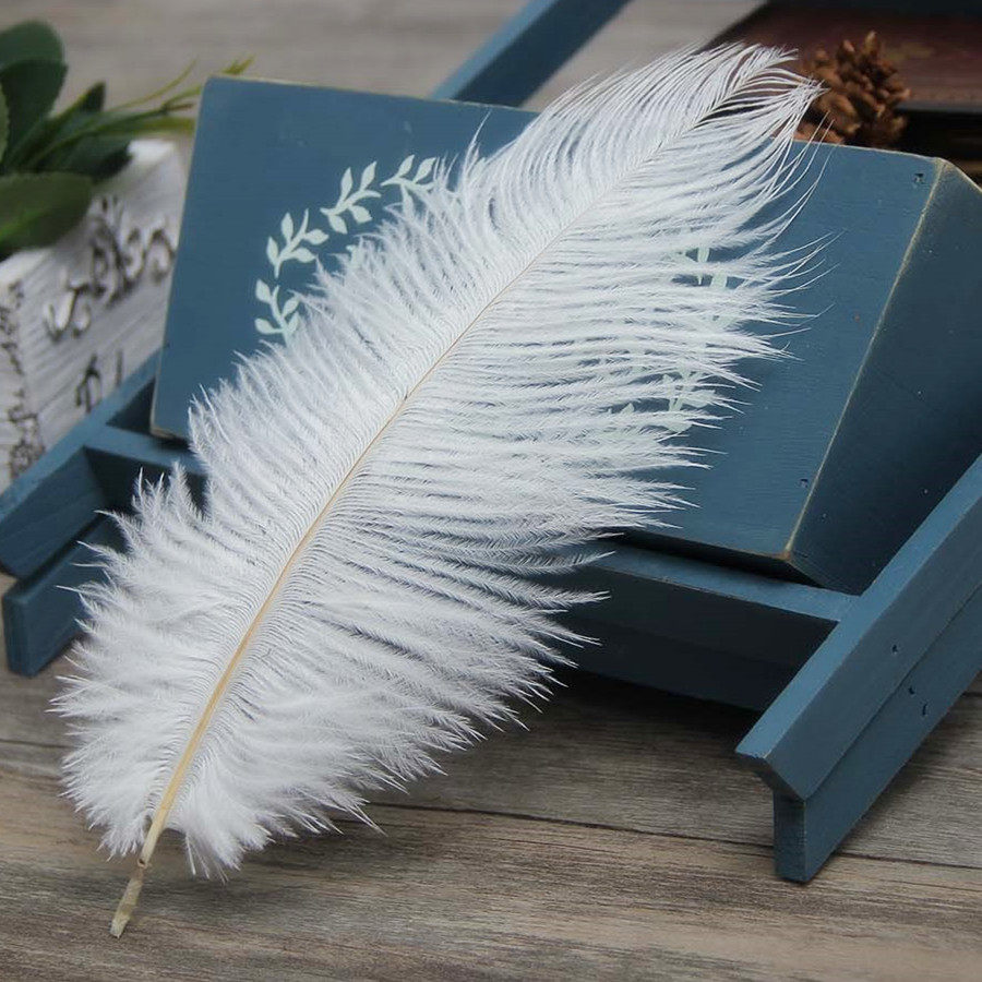 鸵鸟毛1根 少女写真蒙眼网店淘宝拍图道具大白羽毛复古拍摄影艺术