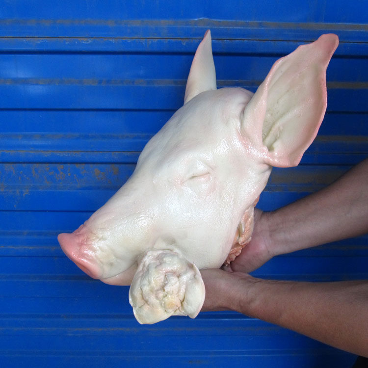 仿真模型猪头菜假猪咬尾巴用品品生道具定做仿真水果