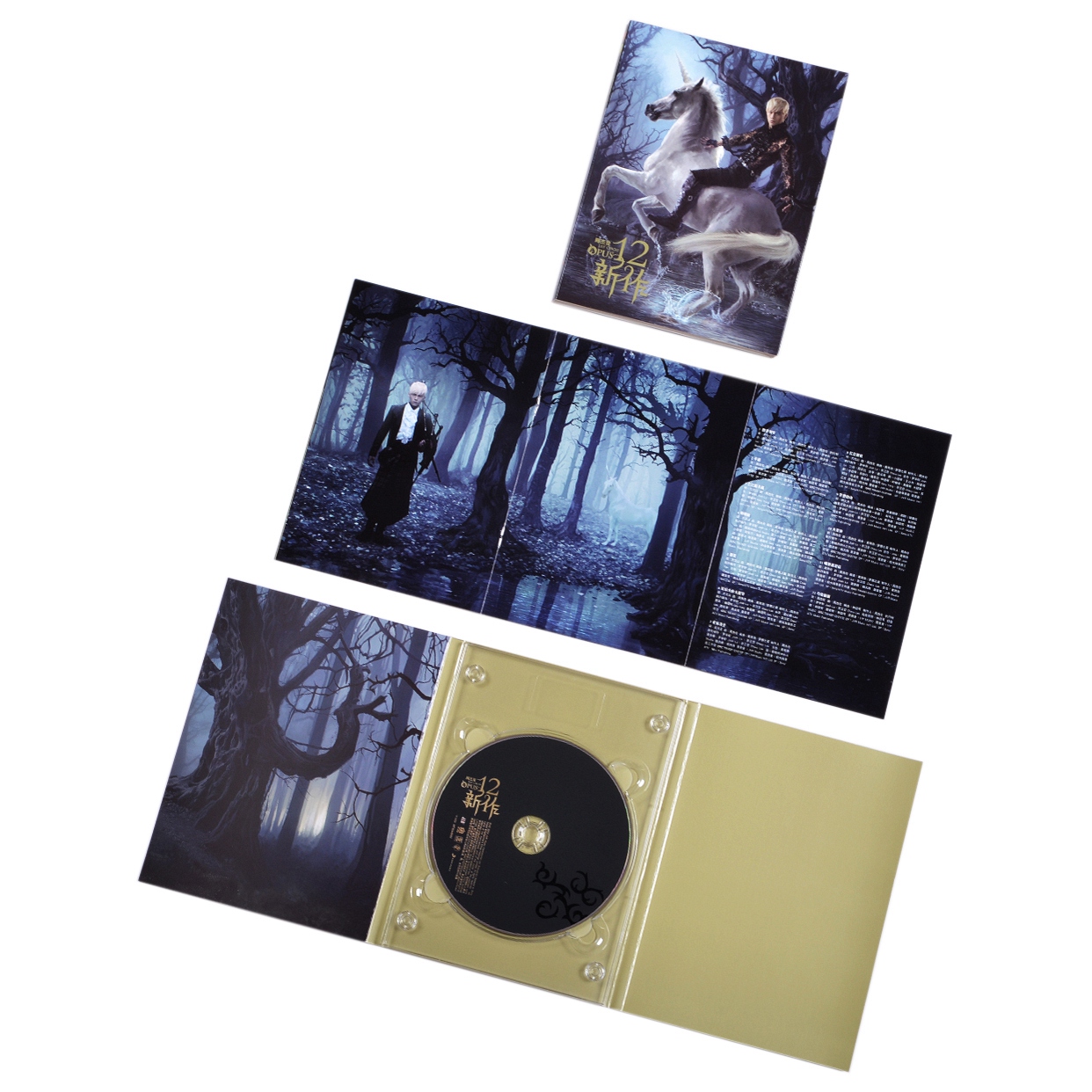 新作正版唱片jay周杰伦专辑十二cd歌词音乐音乐cd