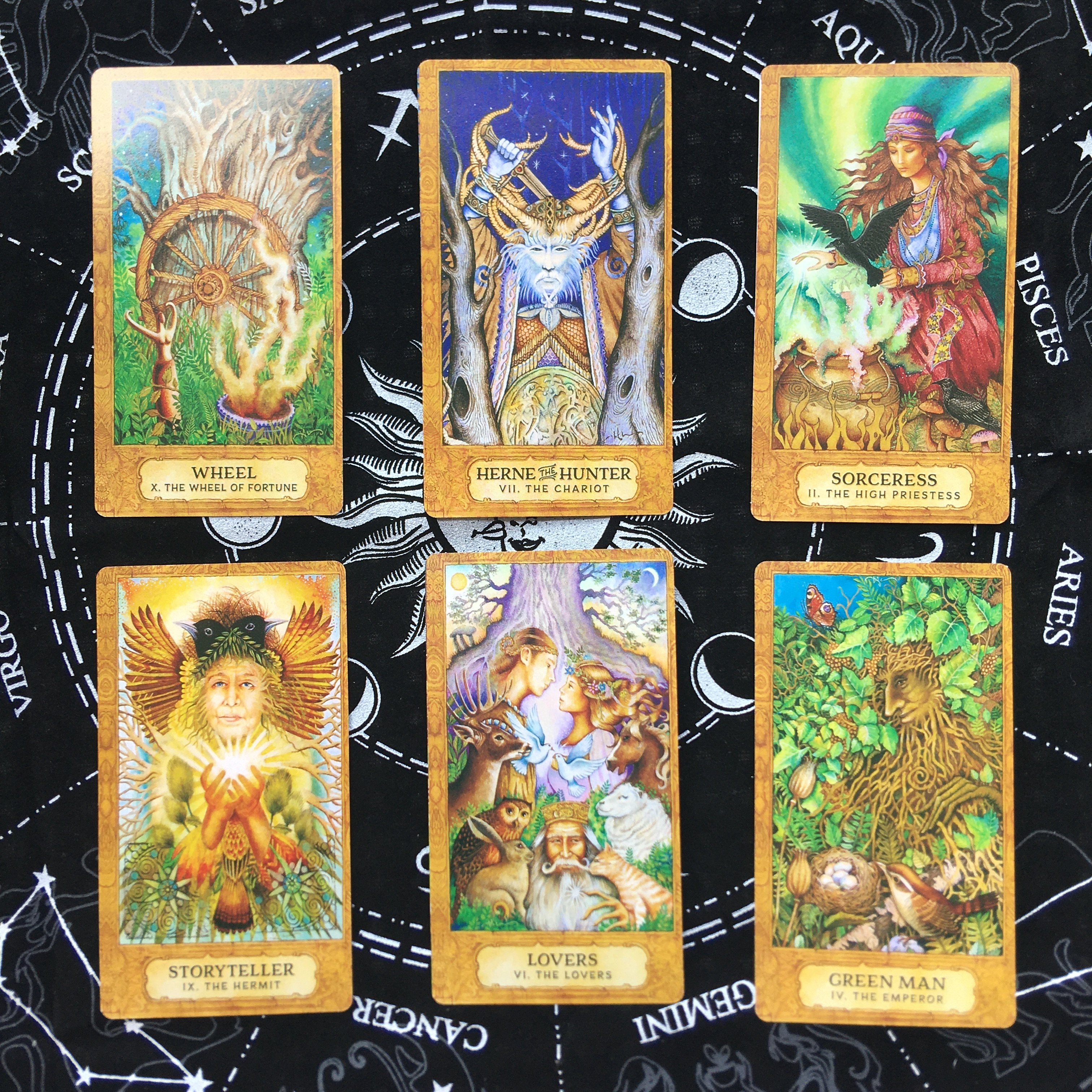 包邮chrysalis tarot 蚕蛹塔罗牌 英文定制羽化成蝶占卜卡牌