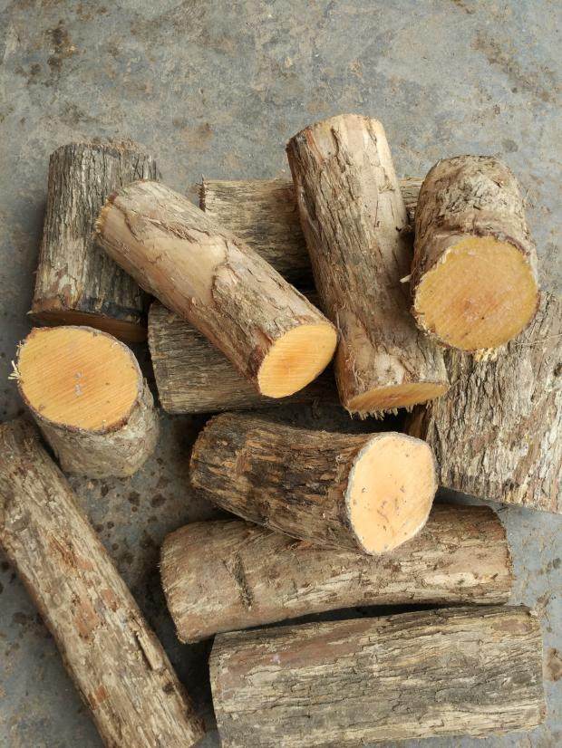 黄杨木杨木湖北高山正宗大叶原木短料下脚料练手木雕