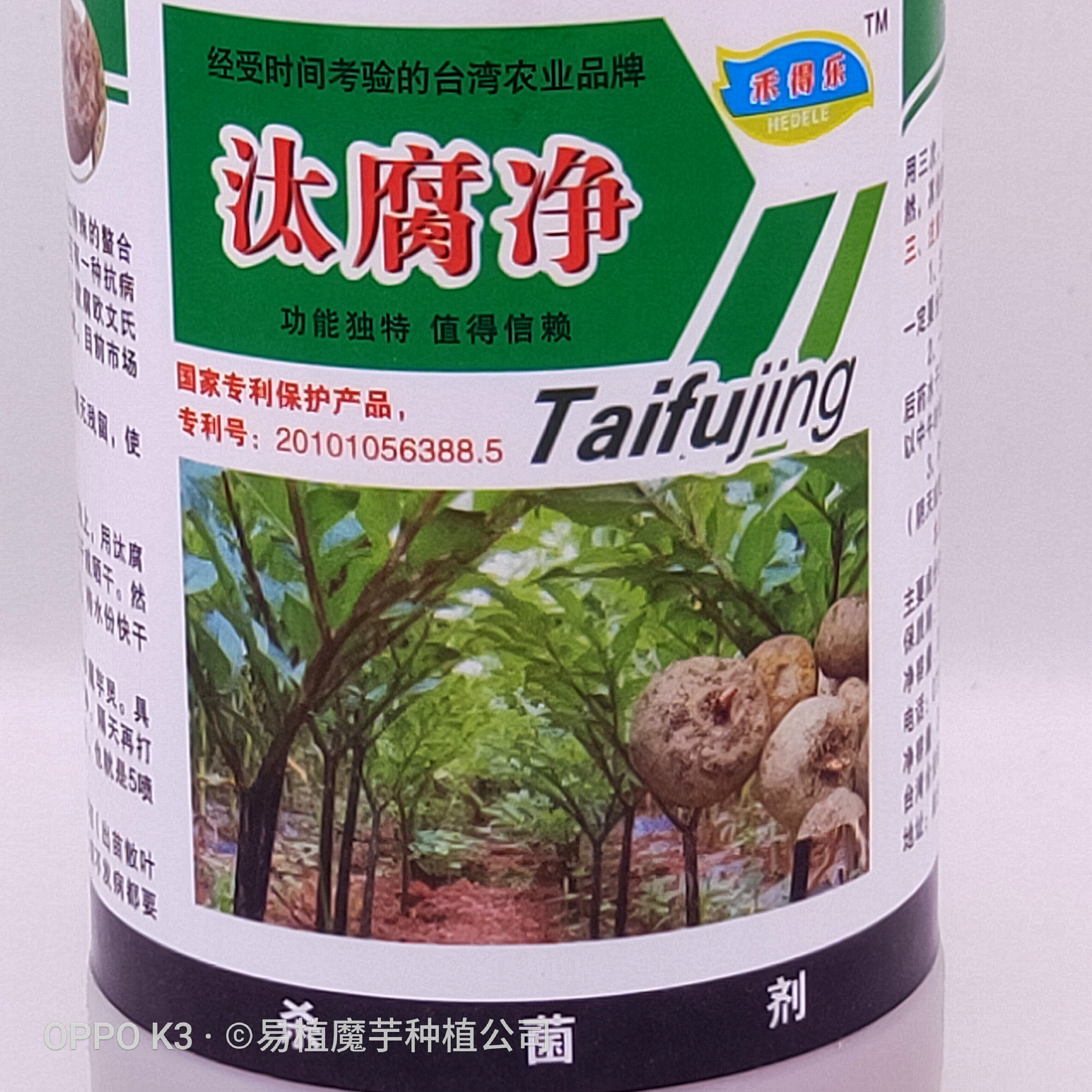 汰腐魔芋专用用药预防软腐病白娟病杀菌剂磨芋农技服务