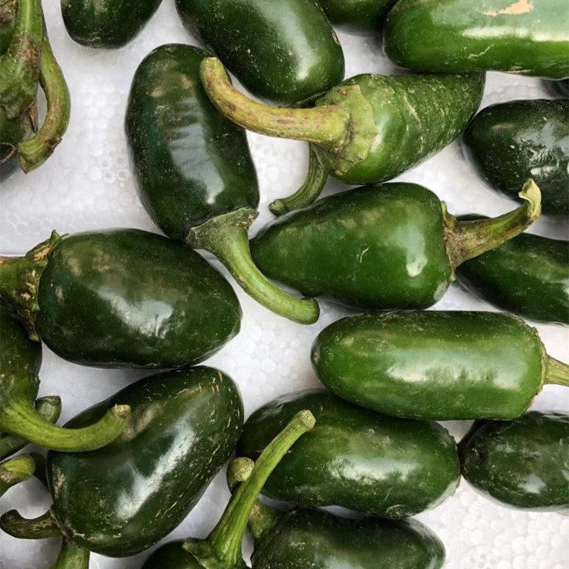 辣椒jalapenopepper新鲜墨西哥青椒5斤墨绿脆嫩油焖辣椒