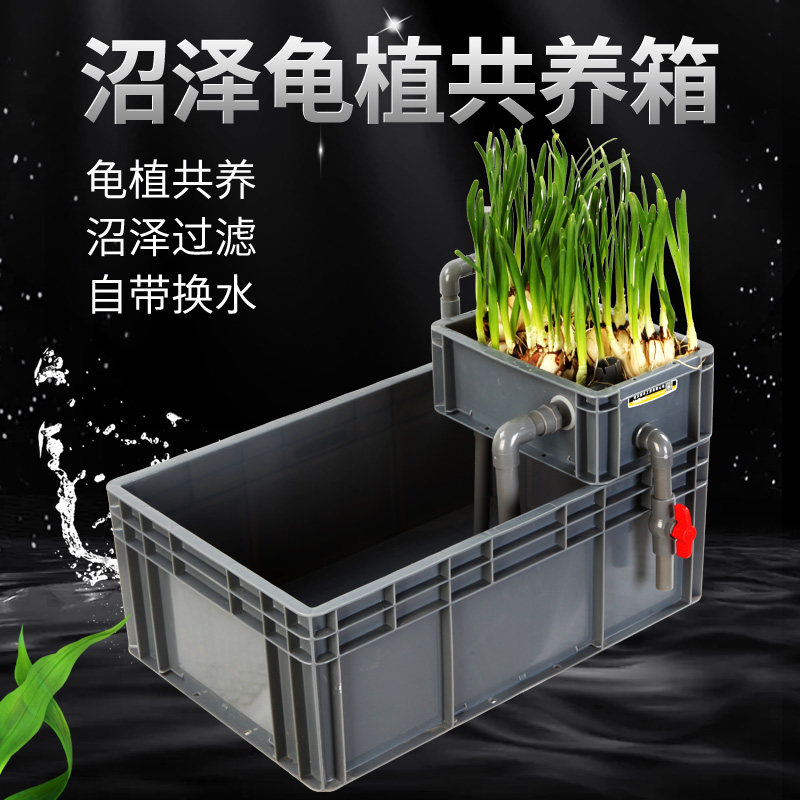 周转箱乌龟缸龟缸过滤器家用龟盆缸生态龟缸沼泽过滤免换水带晒台