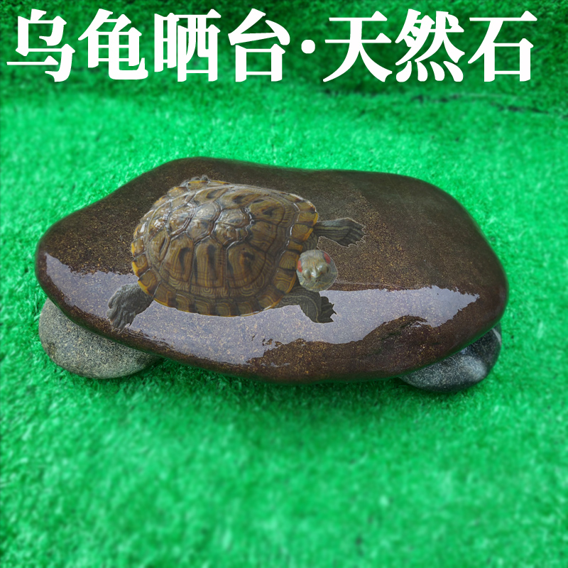 天然乌龟晒石鹅卵石超大鱼缸观景石乌龟晒台扁平造景爬石台晒背台