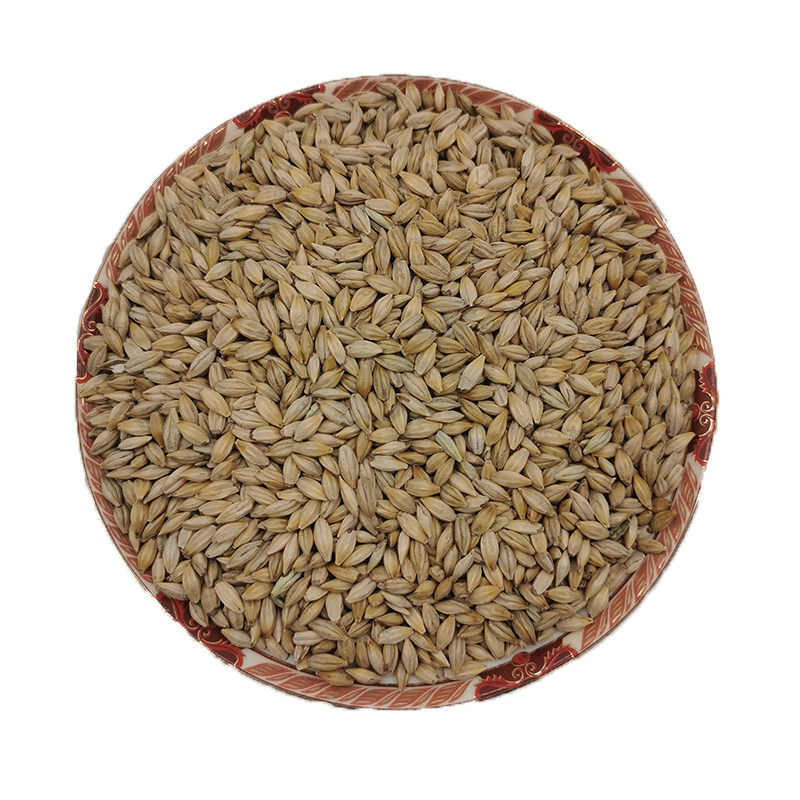 大麦带壳麦粒麦茶原料食用2021新大麦5斤多省其它粮食