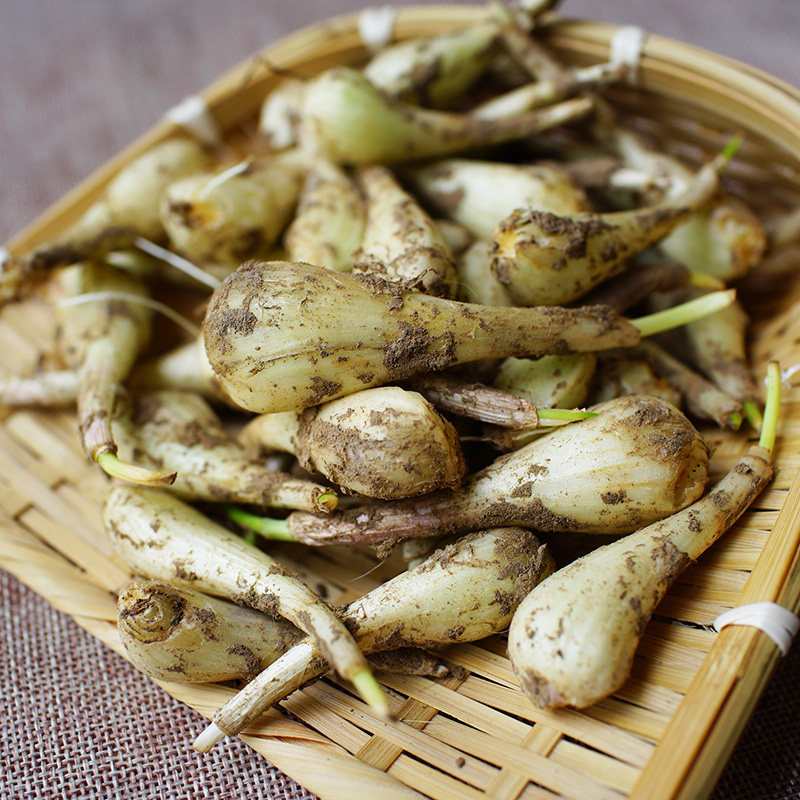 藠头 四川泡菜新鲜腌制酸辣荞头酱菜500克 咸菜下饭菜第二件半价