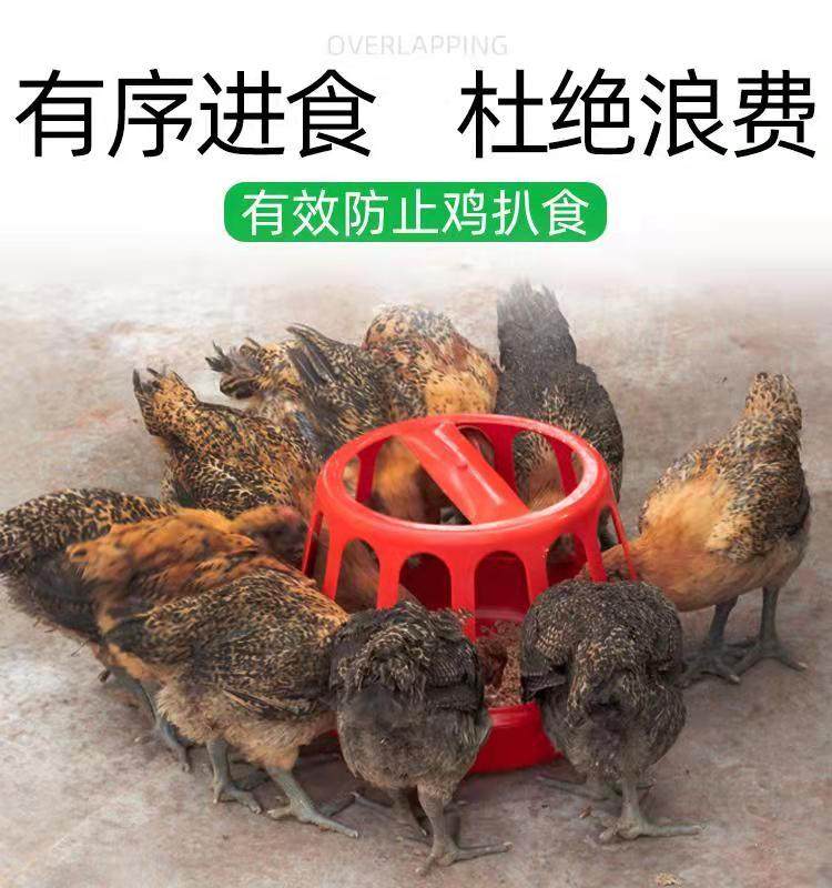 鸡食盆农村喂鸡工具食槽农场饲料盆家用小鸡料桶塑料养鸡用品鸡槽