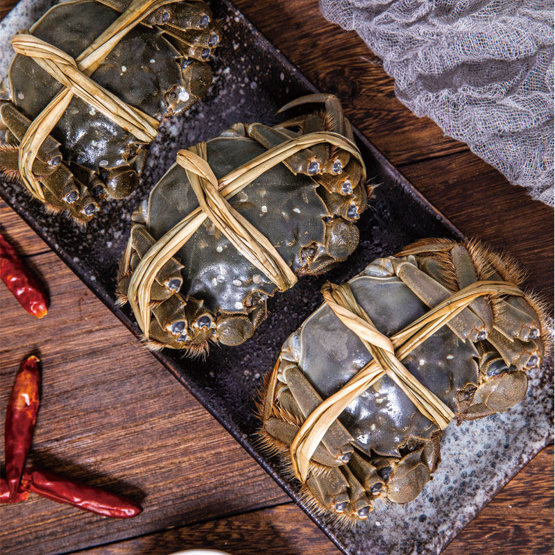 现货九月鲜大闸蟹4公4母共10只顺丰空运