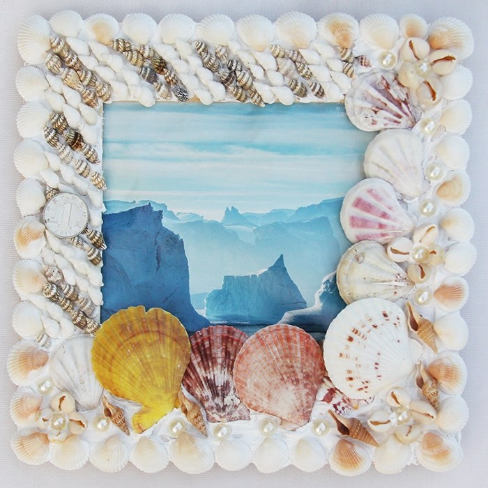 相框diy天然贝壳海螺粘贴材料5寸6寸7寸相框