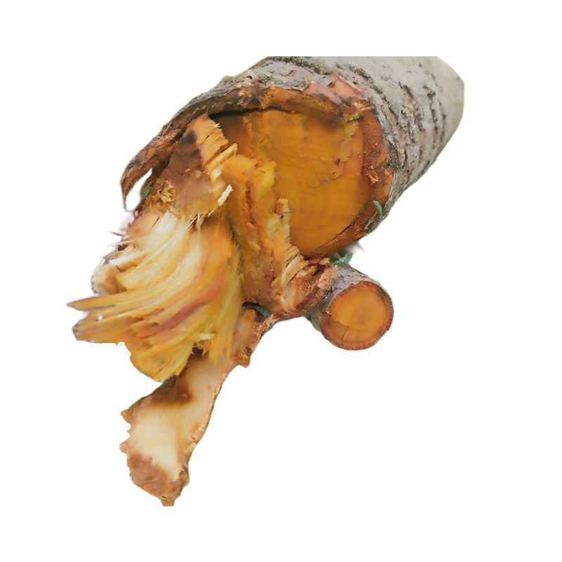 树根桃树贵州中药材新鲜桃子根毛毛桃山桃根现其他药食同源食品