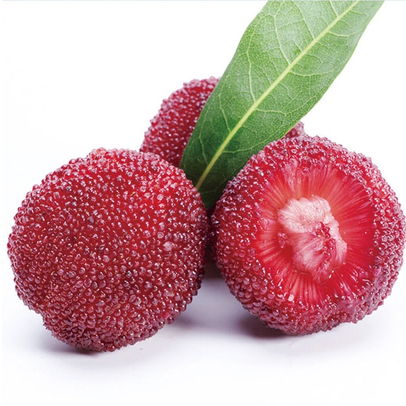 云南杨梅200g-250g杨梅