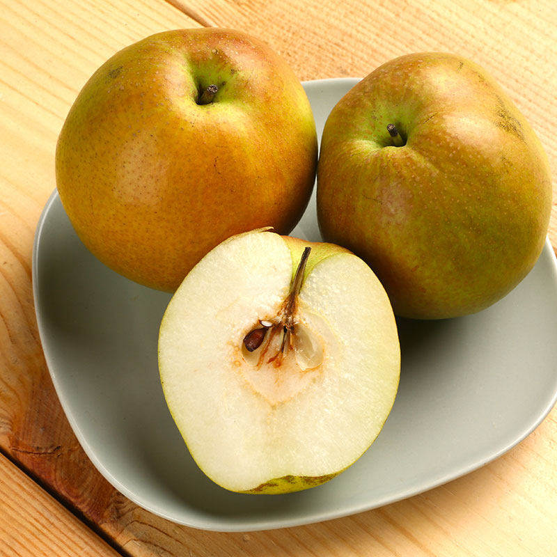 玉露香梨4粒装甜果香浓郁脆甜蜜汁精选当季梨