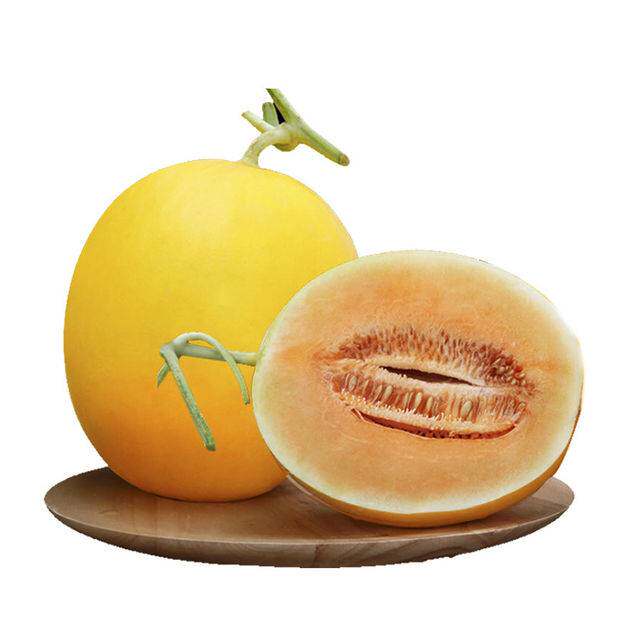 金红宝红宝蜜瓜1.5kg甜瓜