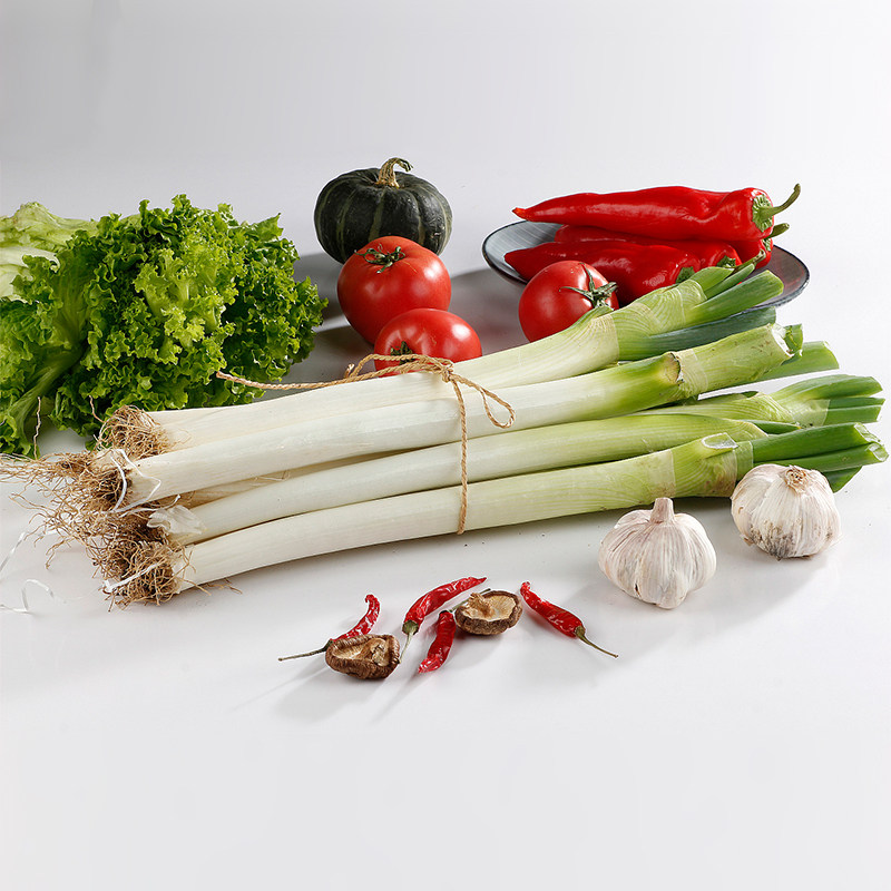 聚泰精选大葱葱类